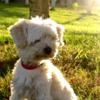 Photo #185273 de Joyce