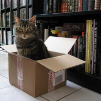 Photo #185337 de Cachou