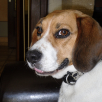 Photo #185440 de Usua