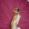 missy qui se fait engueuler ( qu'elle a l'air malheureuse allongé sur le lit!) 