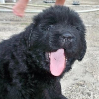 Photo #185530 de Wally