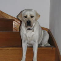 Photo #185585 de Bessie
