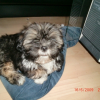 Photo #185615 de Butters
