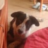 bébé