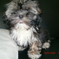 Photo #185620 de Butters