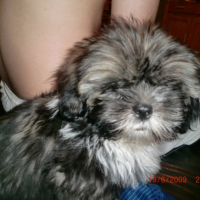 Photo #185624 de Butters