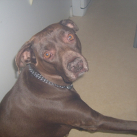 Photo #185628 de Tess