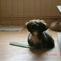 Photo #185633 de Butters