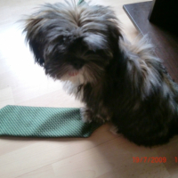 Photo #185636 de Butters