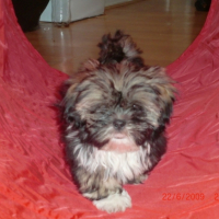 Photo #185639 de Butters