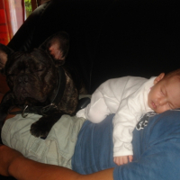 Photo #185645 de Tyson