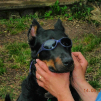 Photo #185655 de Spike