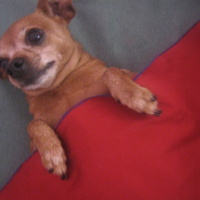 Photo #185820 de Ruby