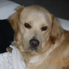 patto sept 09
