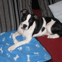 Photo #185982 de Athena