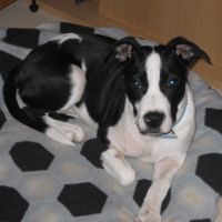 Photo #185985 de Athena