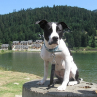 Photo #186005 de Athena