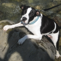 Photo #186008 de Athena