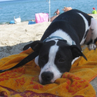 Photo #186012 de Athena
