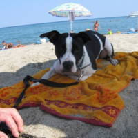 Photo #186015 de Athena