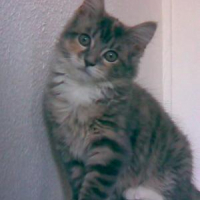 Photo #186104 de Canaille