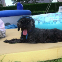 Photo #186116 de Lola