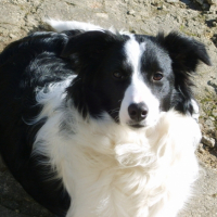 Photo #186183 de Canelle
