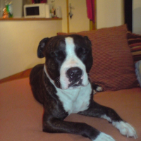 Photo #186246 de Kayser