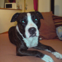 Photo #186255 de Kayser