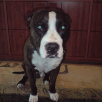 Photo #186258 de Kayser