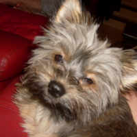Photo #186277 de Dora