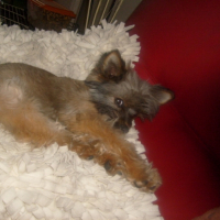 Photo #186368 de Dora