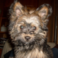 Photo #186377 de Dora