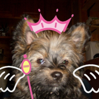 Photo #186380 de Dora
