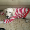 Dally et mon pull rouge !!!