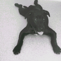 Photo #186481 de Tia