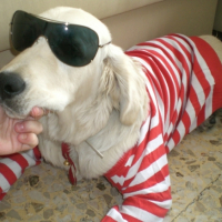 Photo #186483 de Dally