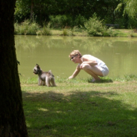 Photo #186494 de Burdy des bryeres des gatines