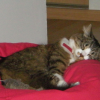 Photo #186604 de Isis