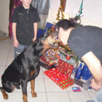 Photo #186605 de Romeo