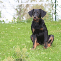 Photo #186731 de Leelou