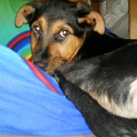 Photo #186734 de Apollo