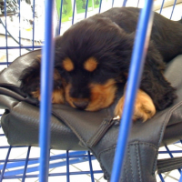 Photo #186788 de Enky