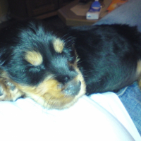 Photo #186793 de Enky