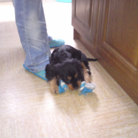 Photo #186794 de Enky