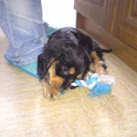 Photo #186795 de Enky