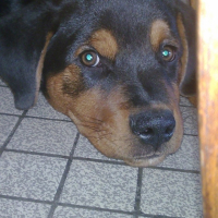 Photo #186798 de Djezabel