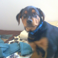 Photo #186799 de Djezabel
