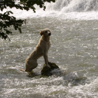 Photo #186810 de Anakyn