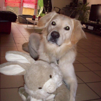 Photo #186811 de Anakyn